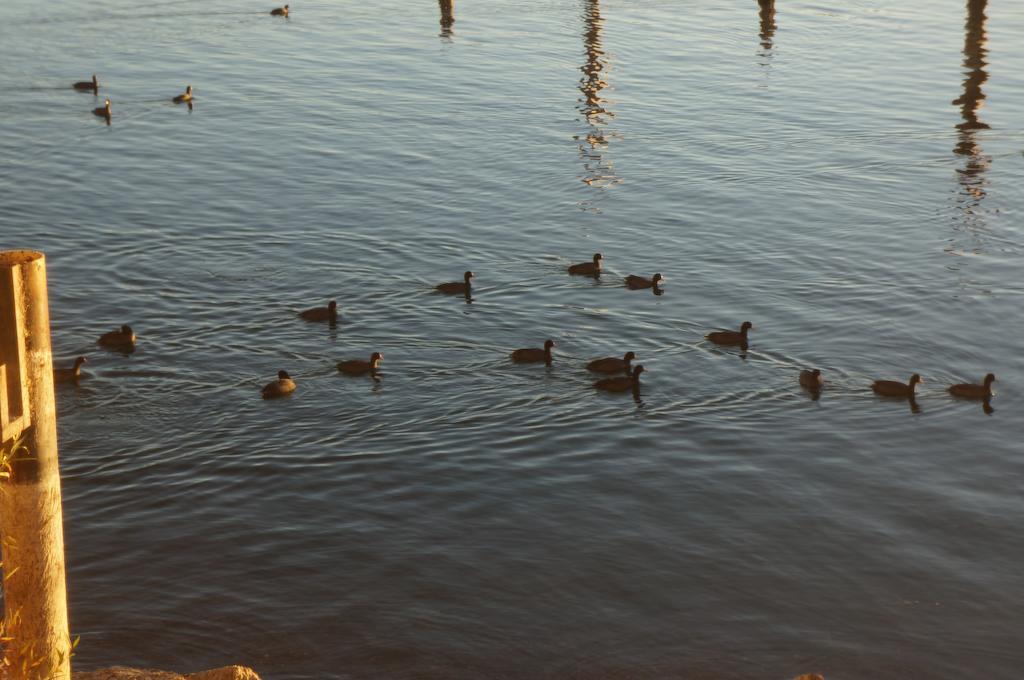 Lake Marina Inn Clearlake Oaks Esterno foto