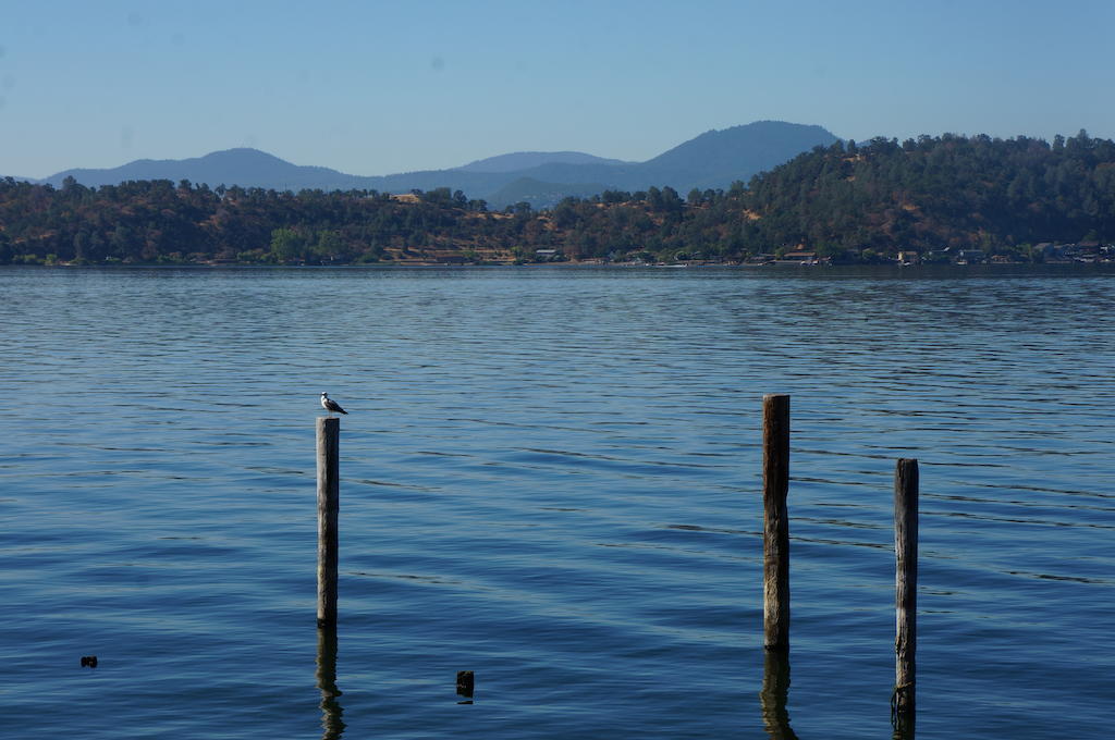 Lake Marina Inn Clearlake Oaks Esterno foto